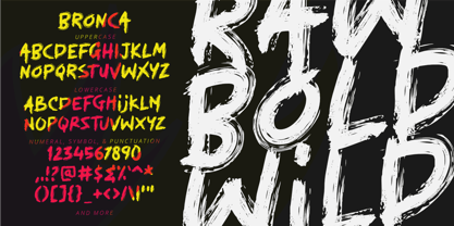 Bronca Font Poster 5