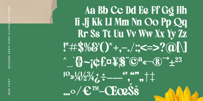 Ordinal Tangle Font Poster 14