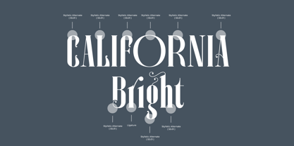 Dasiera Font Poster 9