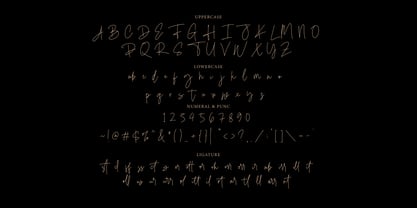 Dirallie Signature Font Poster 9