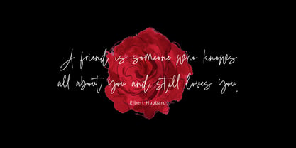 Dirallie Signature Font Poster 8