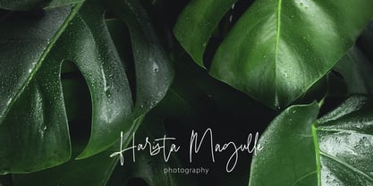 Dirallie Signature Font Poster 4