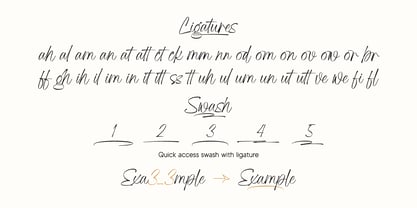 Adore Writing Font Poster 9