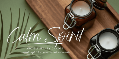 Adore Writing Font Poster 3