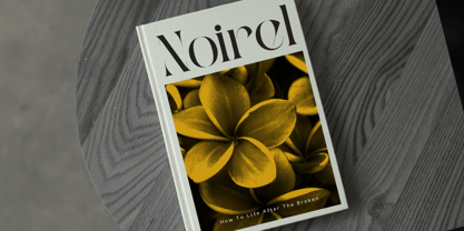 Qaska Luxury Font Poster 2