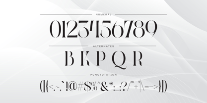 Qaska Luxury Font Poster 8