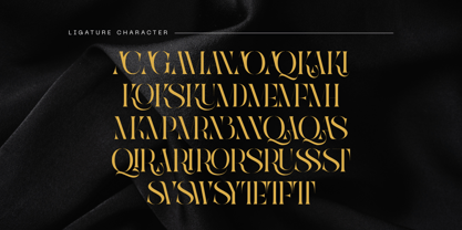 Qaska Luxury Font Poster 5