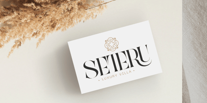 Qaska Luxury Font Poster 6