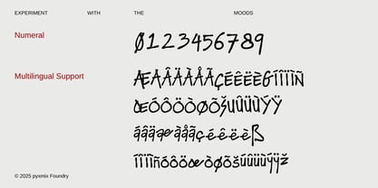 Chamonix Folks Font Poster 4