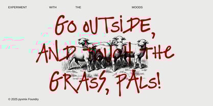 Chamonix Folks Font Poster 2