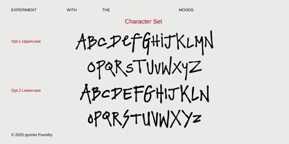 Chamonix Folks Font Poster 3