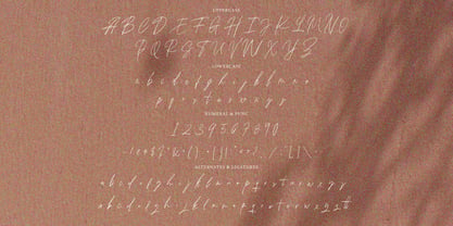 Madiena Signature Font Poster 8