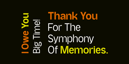 Moanslight Font Poster 15