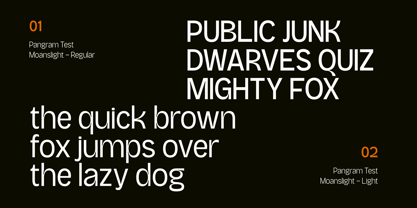 Moanslight Font Poster 6