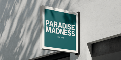 Moanslight Font Poster 5