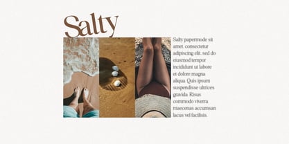 Pigaty Font Poster 11