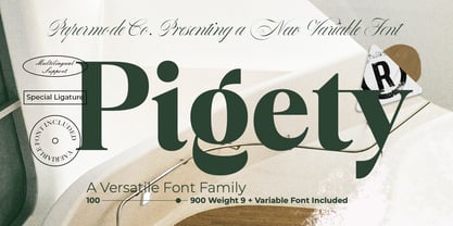Pigaty Font Poster 1