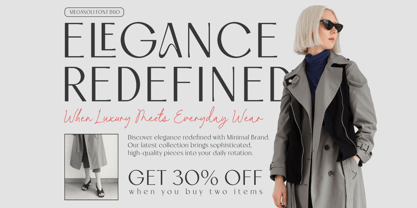 Meganoli Font Poster 2