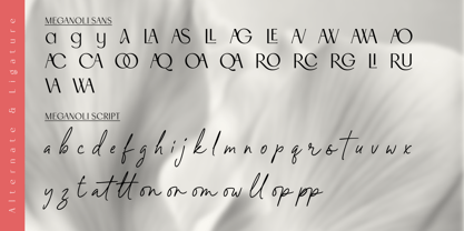 Meganoli Font Poster 6