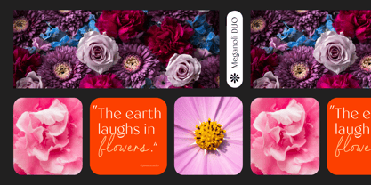 Meganoli Font Poster 9