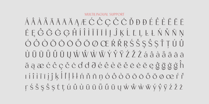 Meganoli Font Poster 11