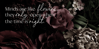 Meganoli Font Poster 8