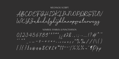 Meganoli Font Poster 13
