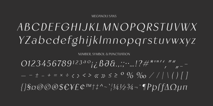 Meganoli Font Poster 12