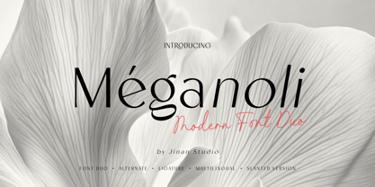 Meganoli Font Poster 1