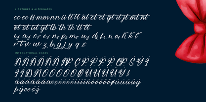 Bounty Motion Font Poster 8