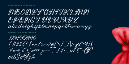 Bounty Motion Font Poster 7