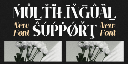 Gianha Forisa Font Poster 5