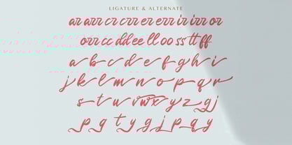 Rugani Payne Font Poster 7