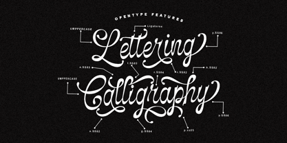 Selfino Script Font Poster 2