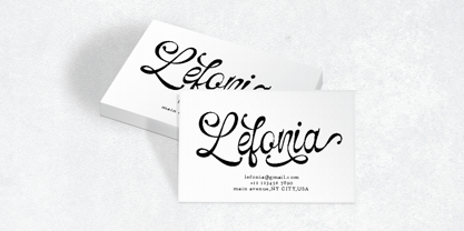 Selfino Script Font Poster 6