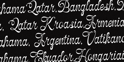 Selfino Script Font Poster 8