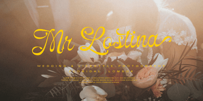 Selfino Script Font Poster 3