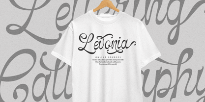 Selfino Script Font Poster 4