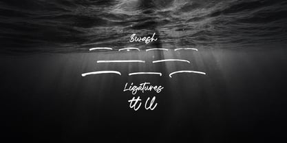 Fentry Font Poster 8