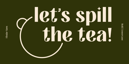 Fibular Sans Font Poster 2