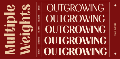 Fibular Sans Font Poster 7