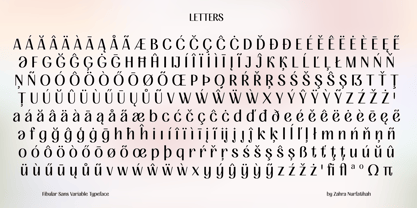 Fibular Sans Font Poster 11