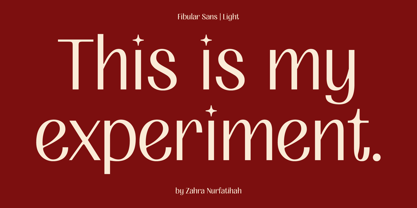 Fibular Sans Font Poster 4