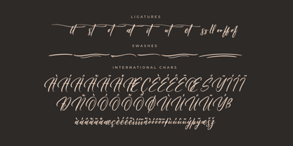Dahlliaty Rofahness Font Poster 8