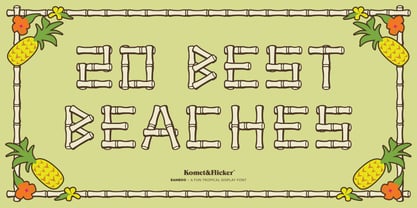 BAMBOO Font Poster 7