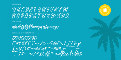 Paradise Holistay Font Poster 14
