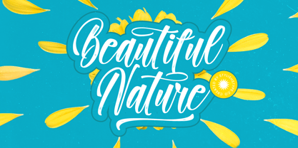 Paradise Holistay Font Poster 10