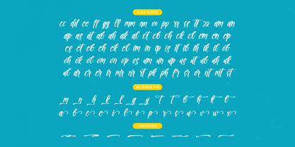 Paradise Holistay Font Poster 15