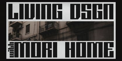 Doxy Bold Font Poster 4