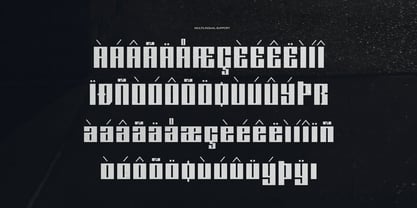 Doxy Bold Font Poster 11